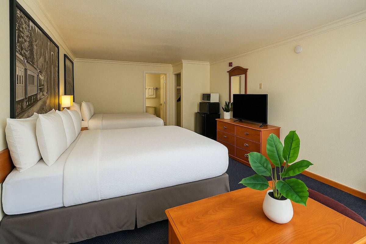 A hotel room with a large bed, a wooden dresser, a television, and a potted plant.