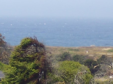 Vista desde la propiedad