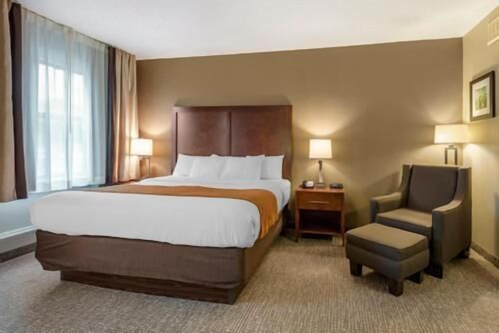 In-room safe, desk, iron/ironing board, free WiFi