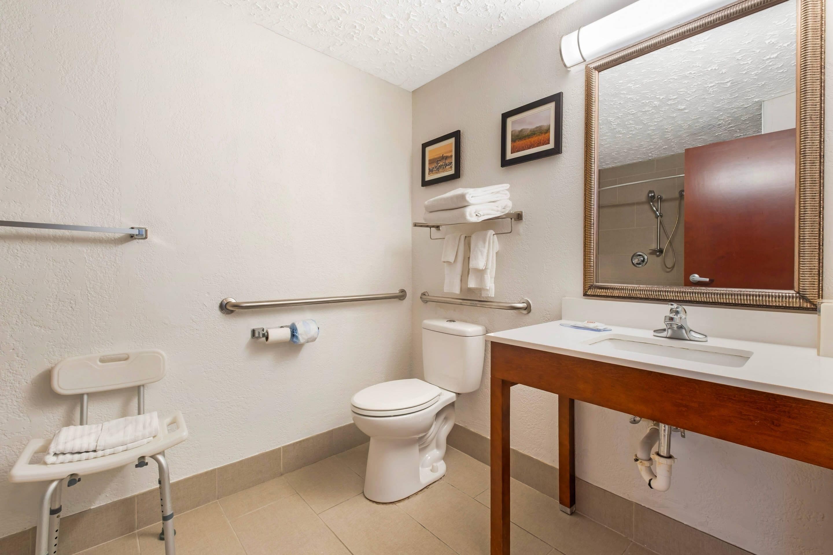 A bathroom with a toilet, a sink, a mirror, and a handrail.