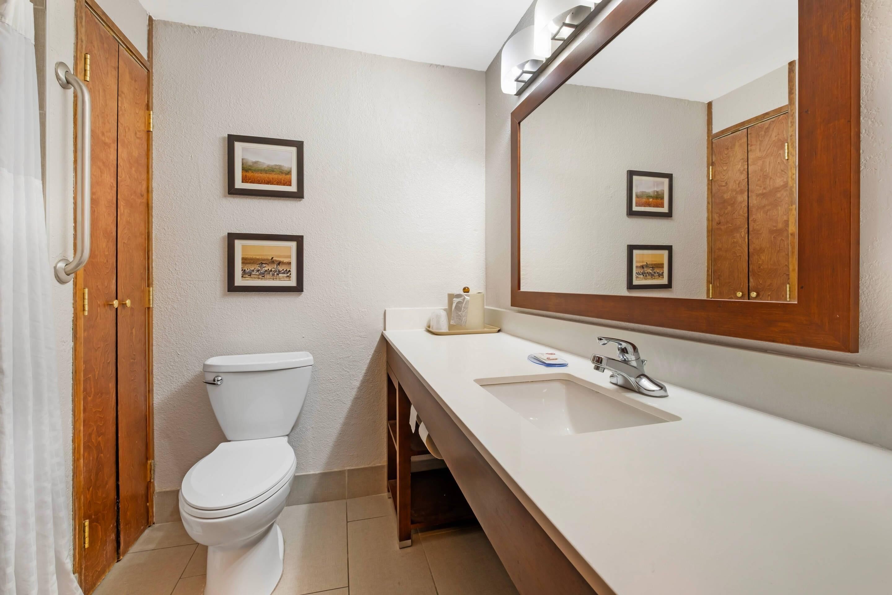 A bathroom with a toilet, a sink, a mirror, and two framed pictures on the wall.