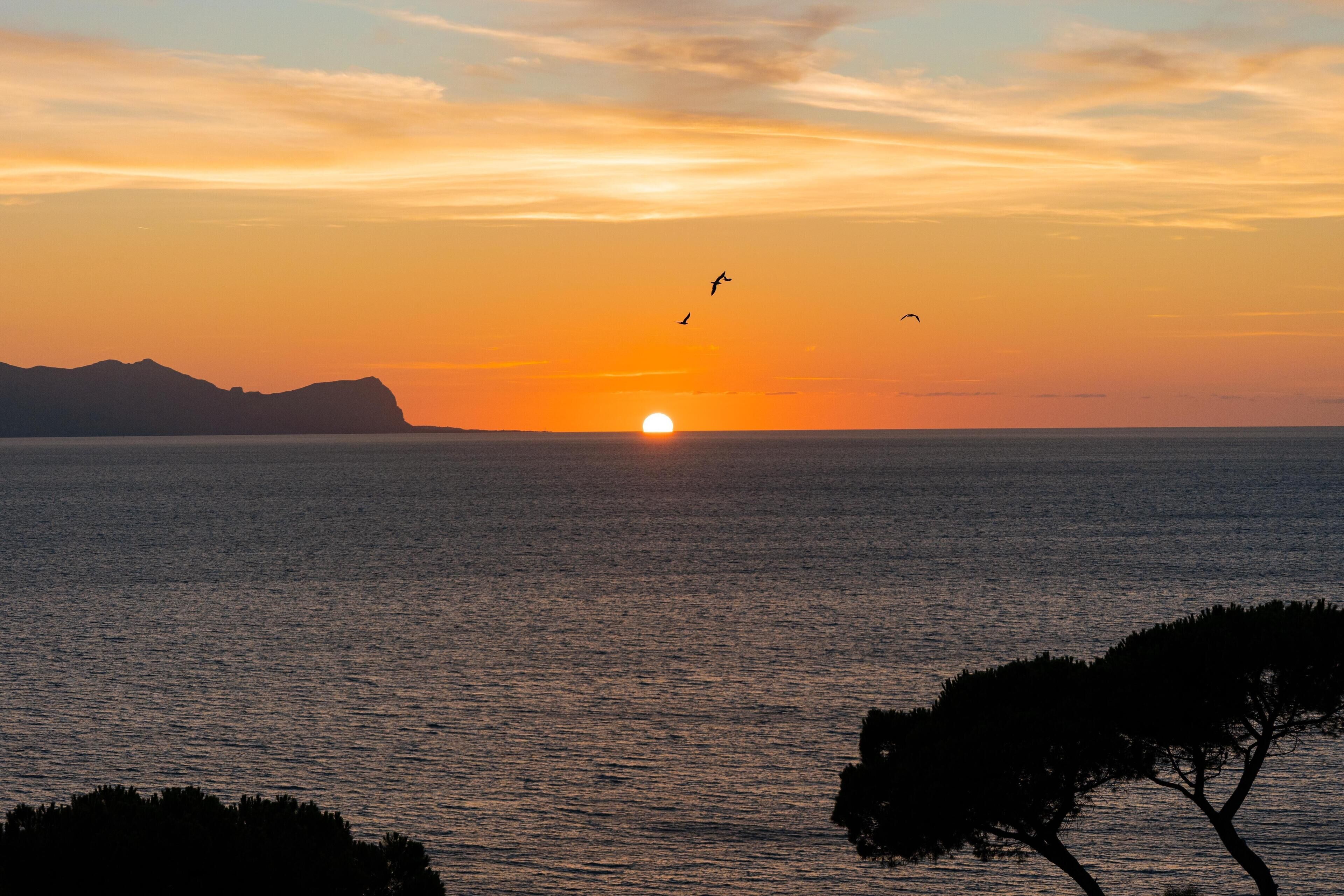 A sunset over a calm sea with silhouettes of trees and distant mountains.