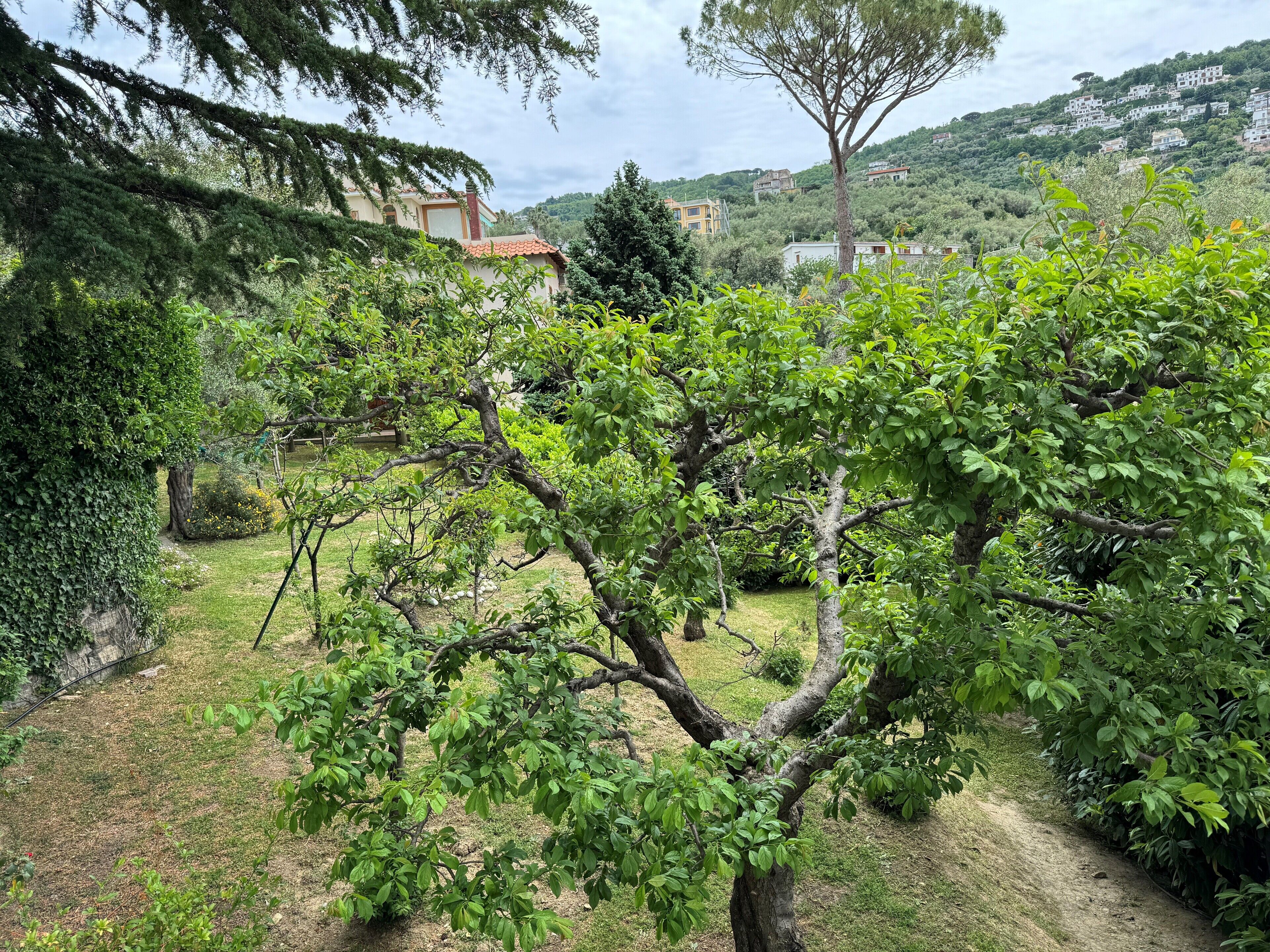 Foto - Grand Hotel Aminta