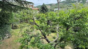 A garden with a variety of trees and shrubs, a grassy area, and a building in the background.
