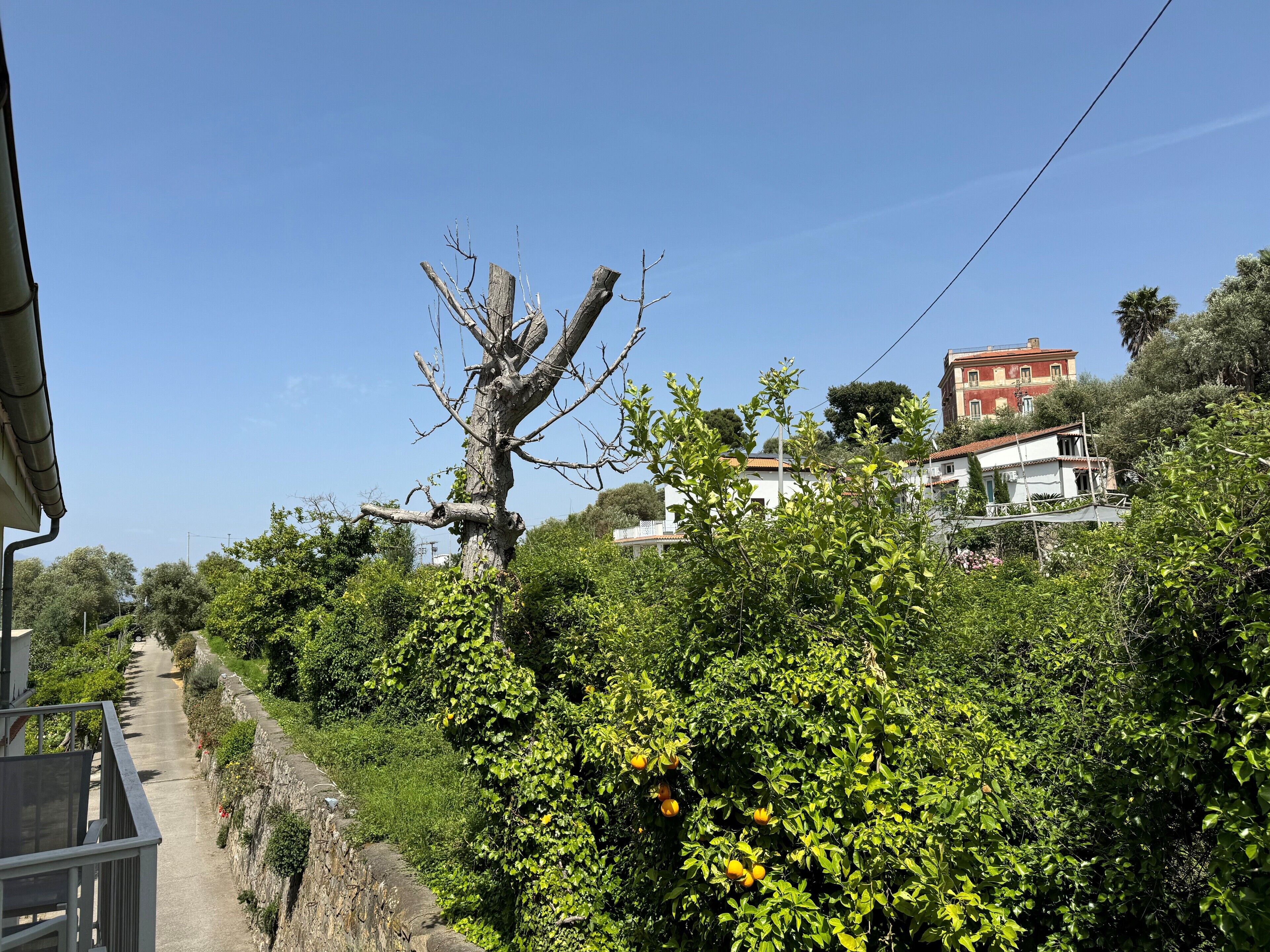 Foto - Grand Hotel Aminta