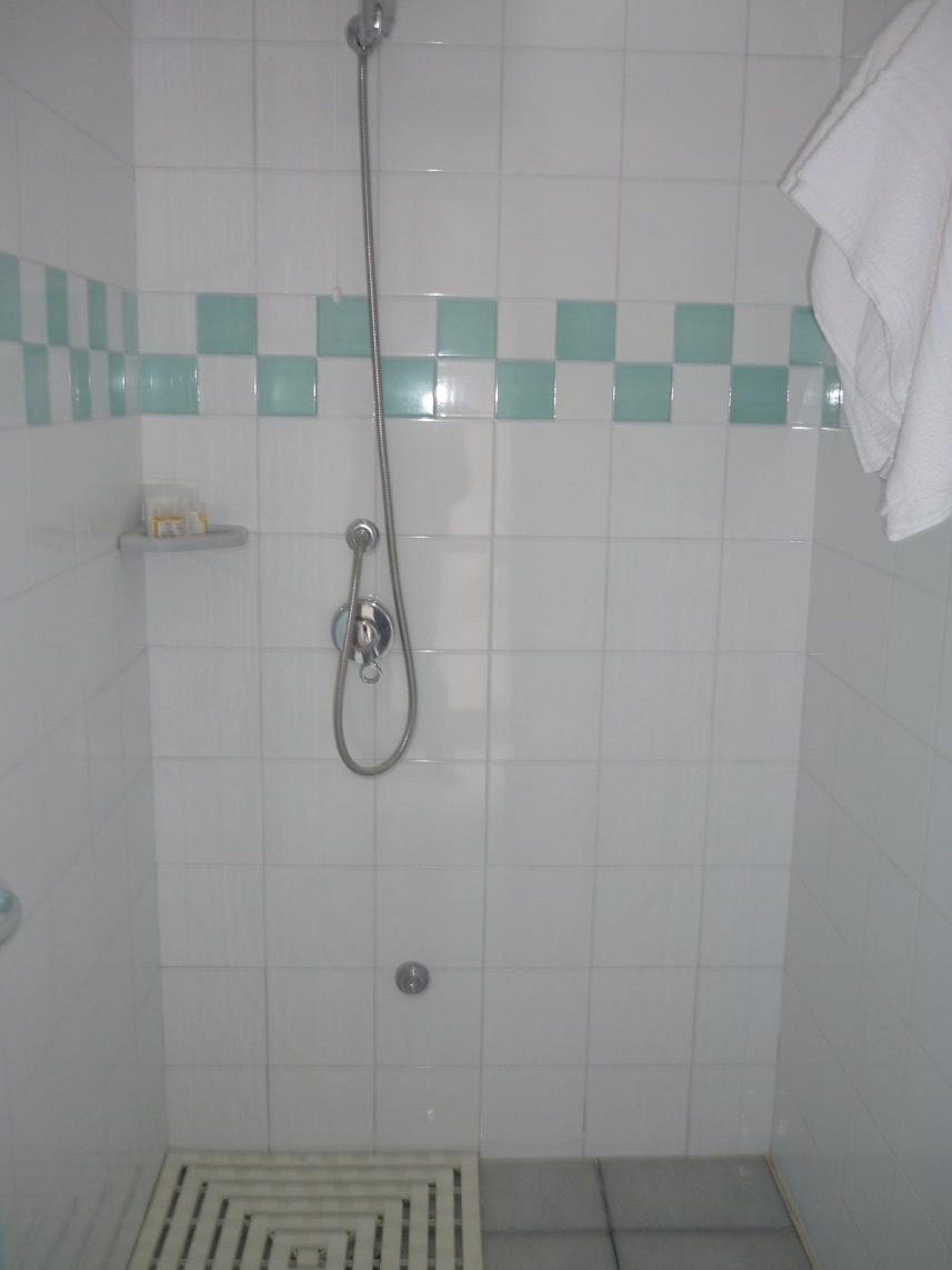 Une douche équipée d’un pommeau de douche à main et d’un robinet mural. Une petite étagère contient des articles de toilette et une serviette est accrochée au mur.