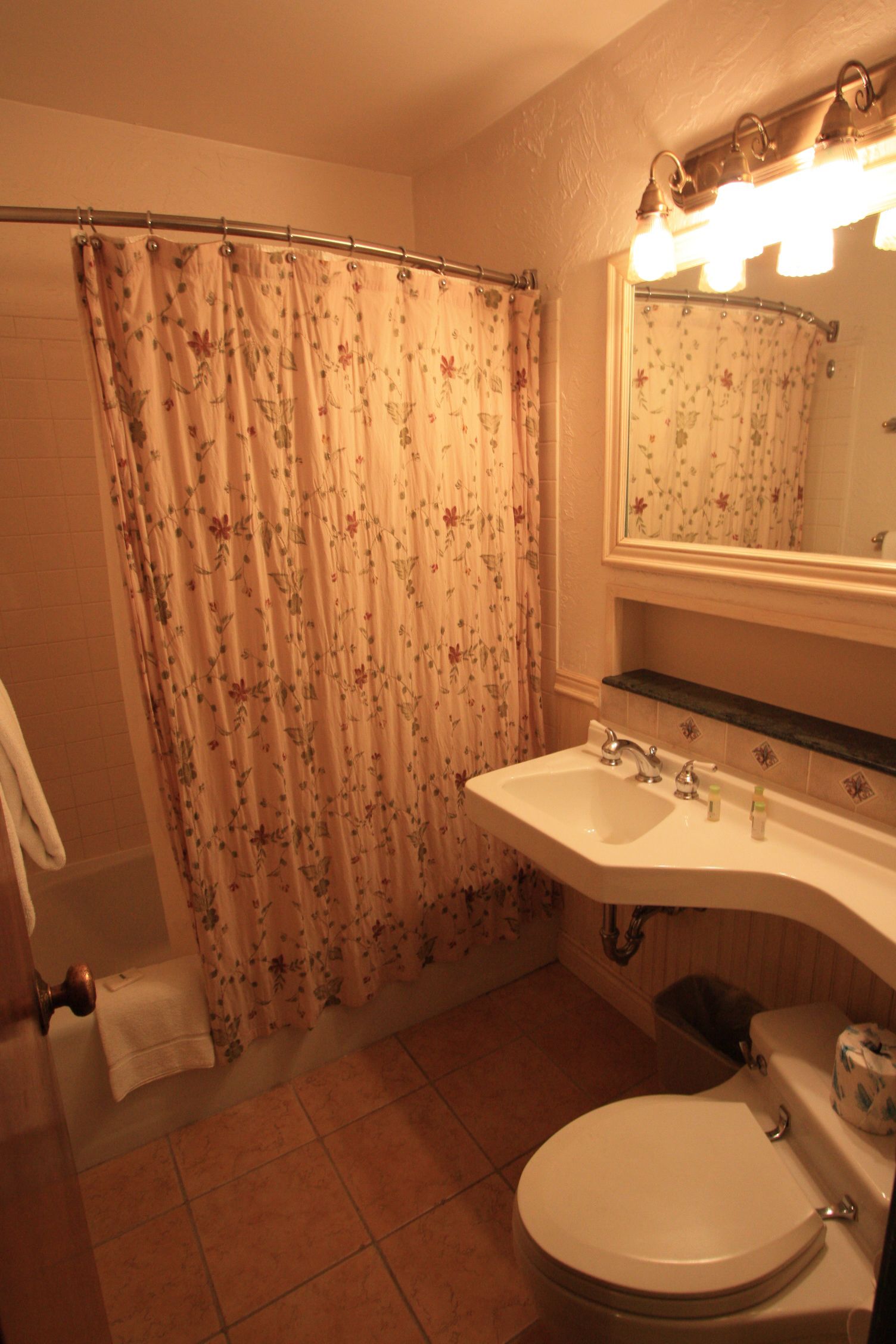 standard room, 1 king bed with sofa bed, fireplace (alpine room) | bathroom | combined shower/bathtub, free toiletries, hair dryer, towels