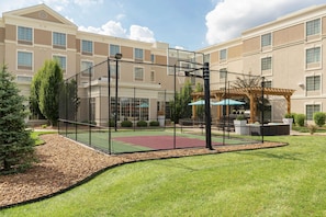 Basketball court