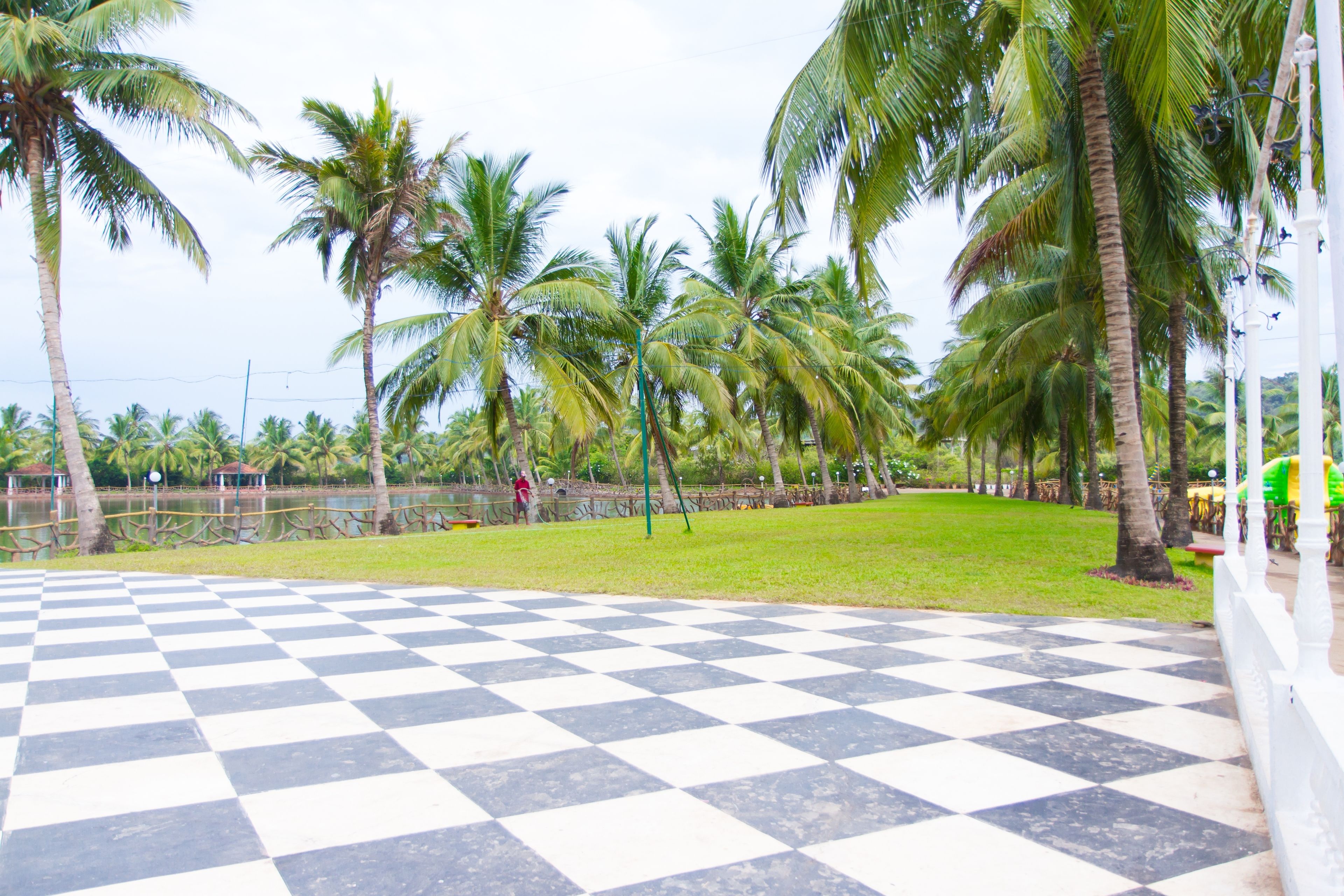 A checkered outdoor area with palm trees and a fence.