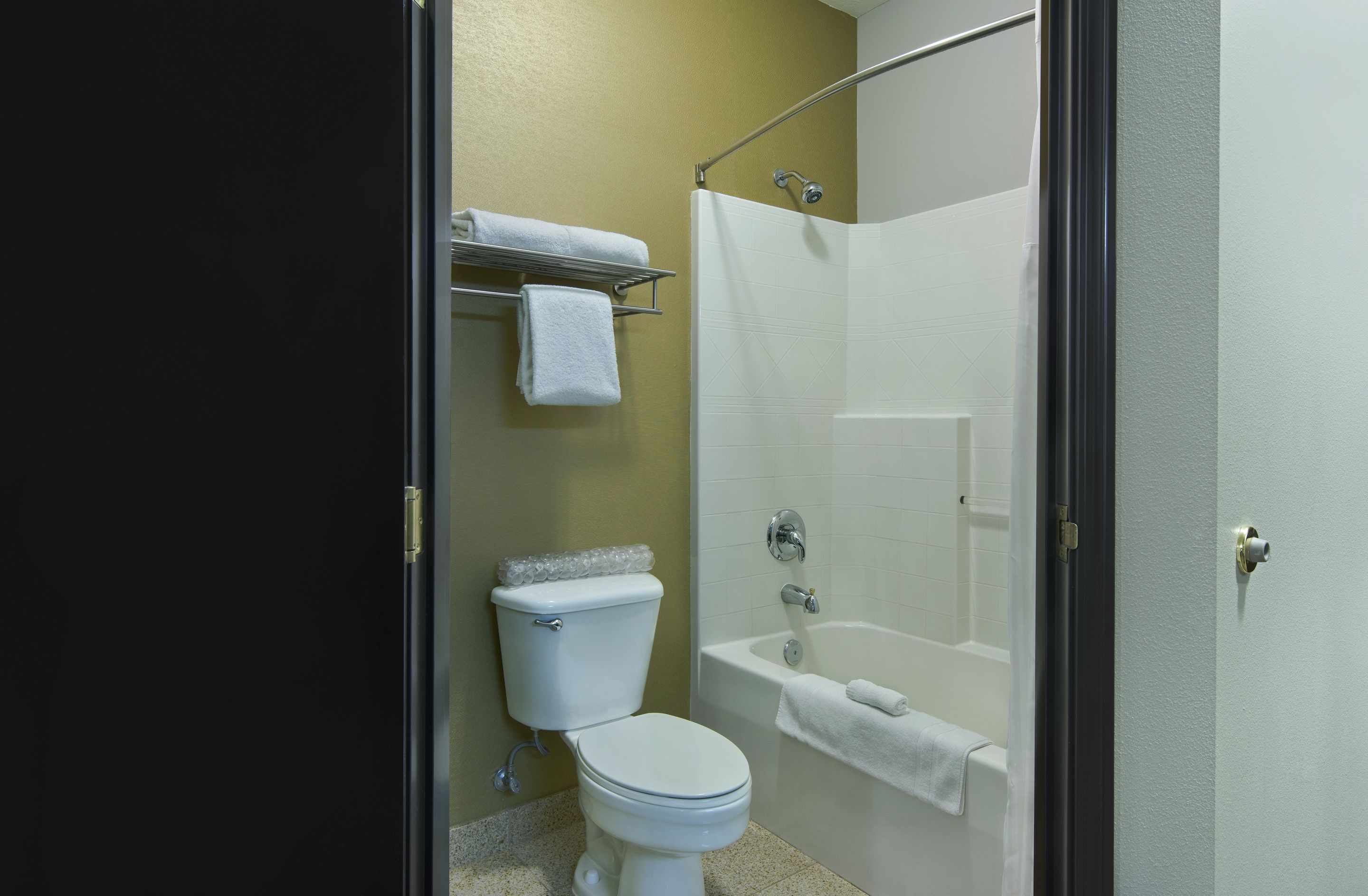 A bathroom with a toilet, a bathtub, and a shower curtain.