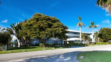A two-story building with a large tree in front.