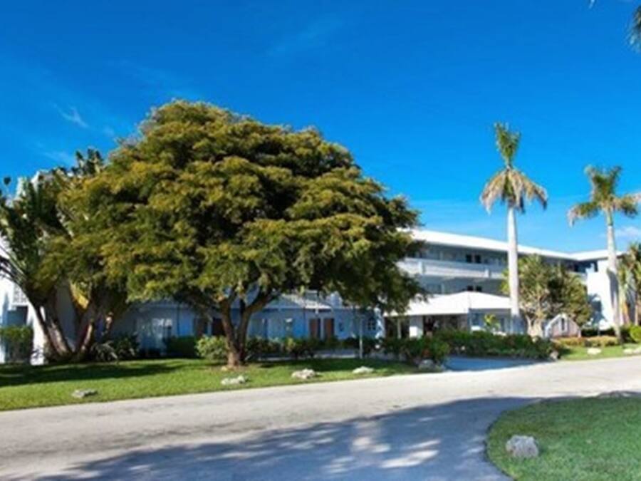 A two-story building with a large tree in front.