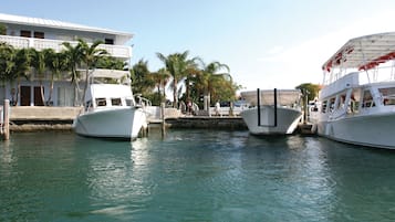 Paseos en bote