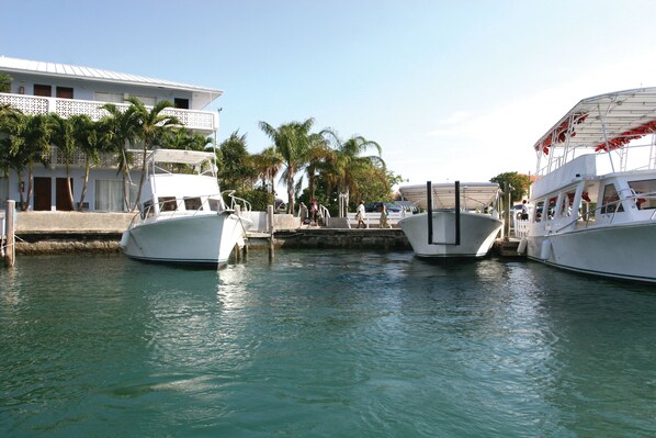 Paseos en bote