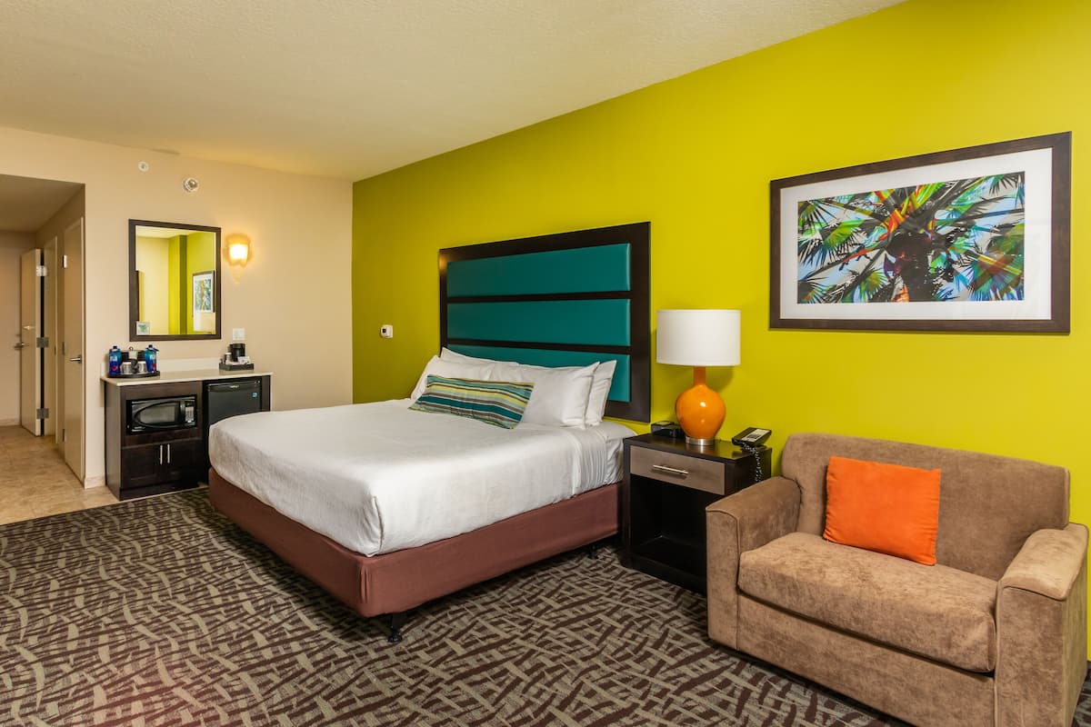 Standard Single Room, 1 King Bed, Accessible | Premium bedding, in-room safe, desk, blackout curtains