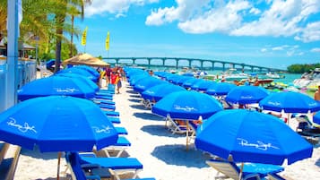 Una playa con hileras de sombrillas azules y sillas, una palmera y un puente al fondo.