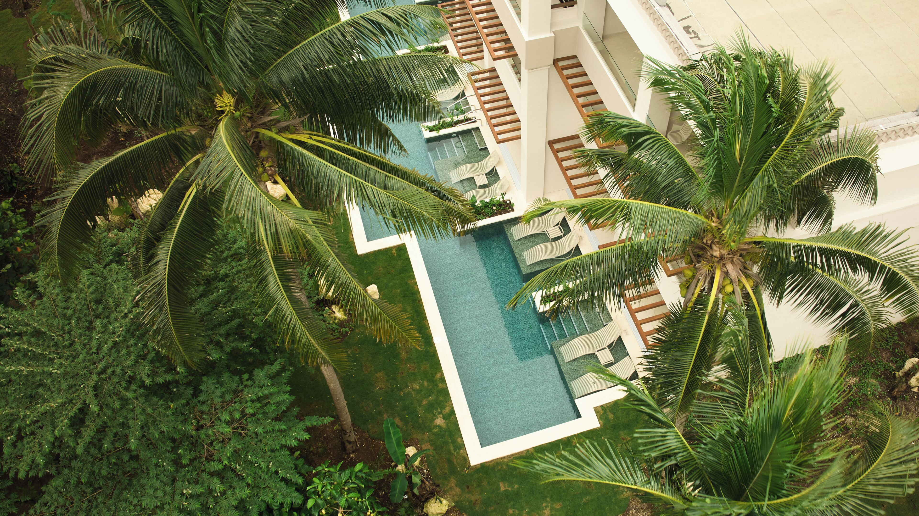 Un resort con piscina rodeada de palmeras y sillones de descanso.