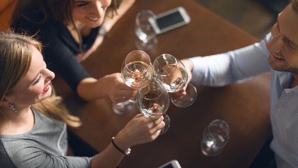 A group of people toasting with wine glasses at a table.
