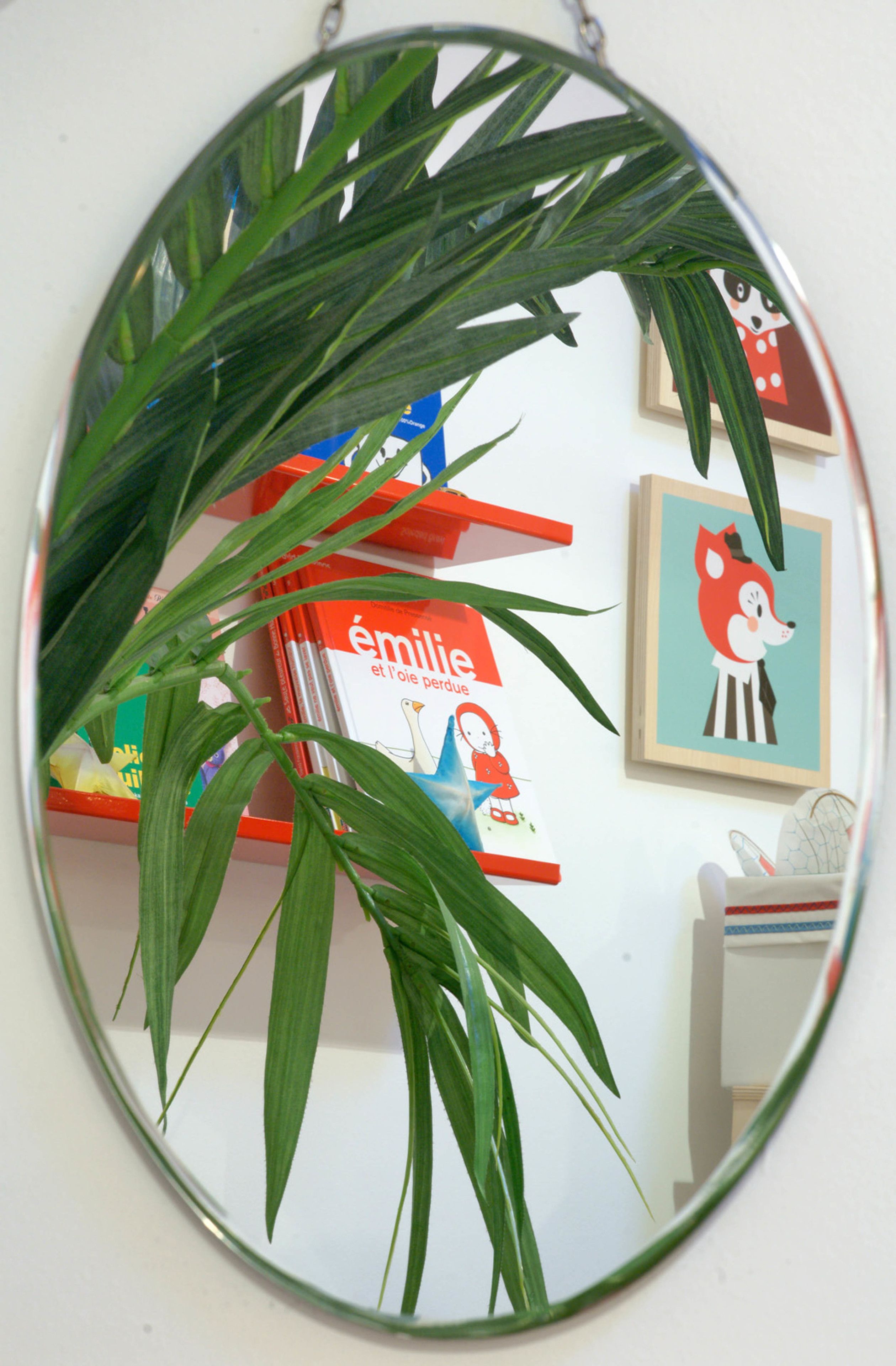 Un espejo redondo con una planta frente a una estantería con libros y fotografías enmarcadas.