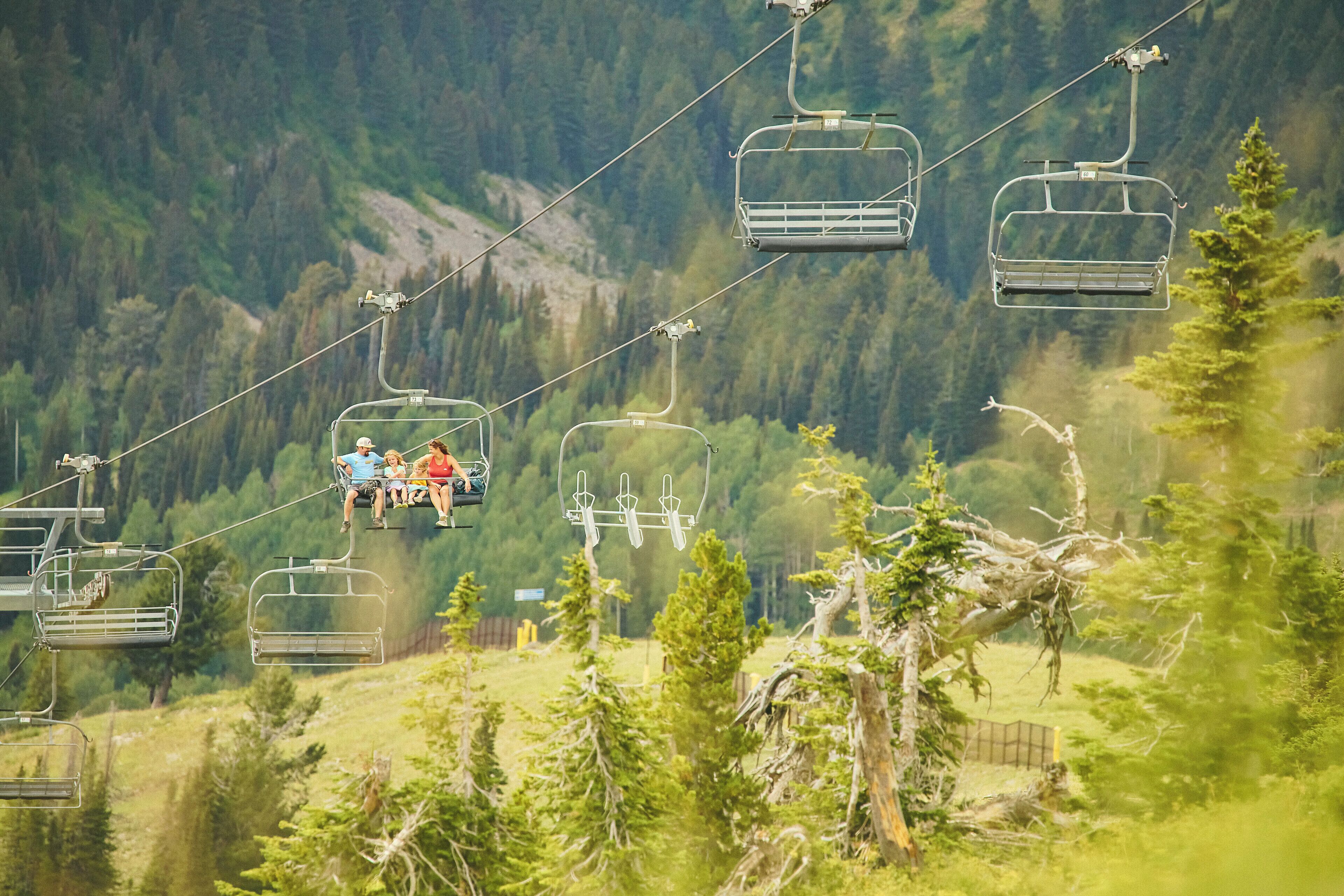 A cable car system in a mountainous area with greenery and trees.