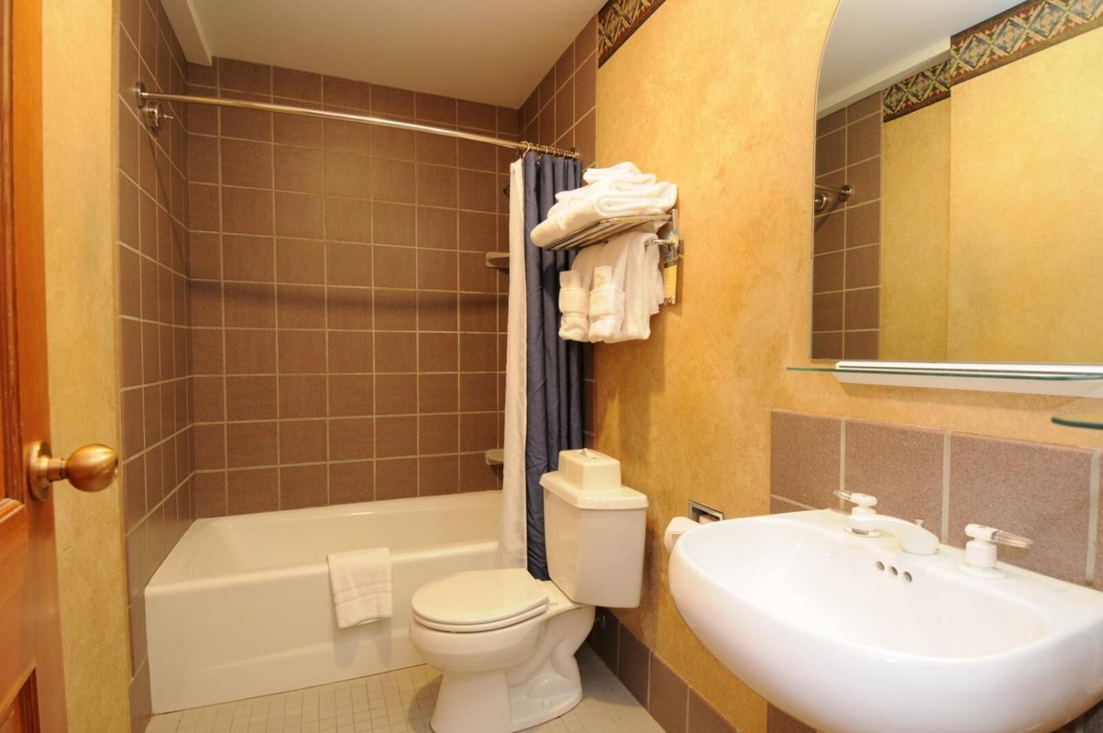 combined shower/bathtub, free toiletries, hair dryer, towels