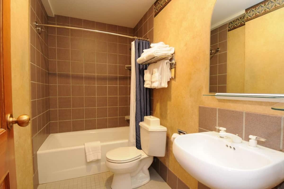 combined shower/bathtub, free toiletries, hair dryer, towels
