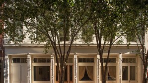 A building with a symmetrical facade, large windows, and a central entrance with a fire hydrant. - Loft 523 New Orleans (New Orleans)