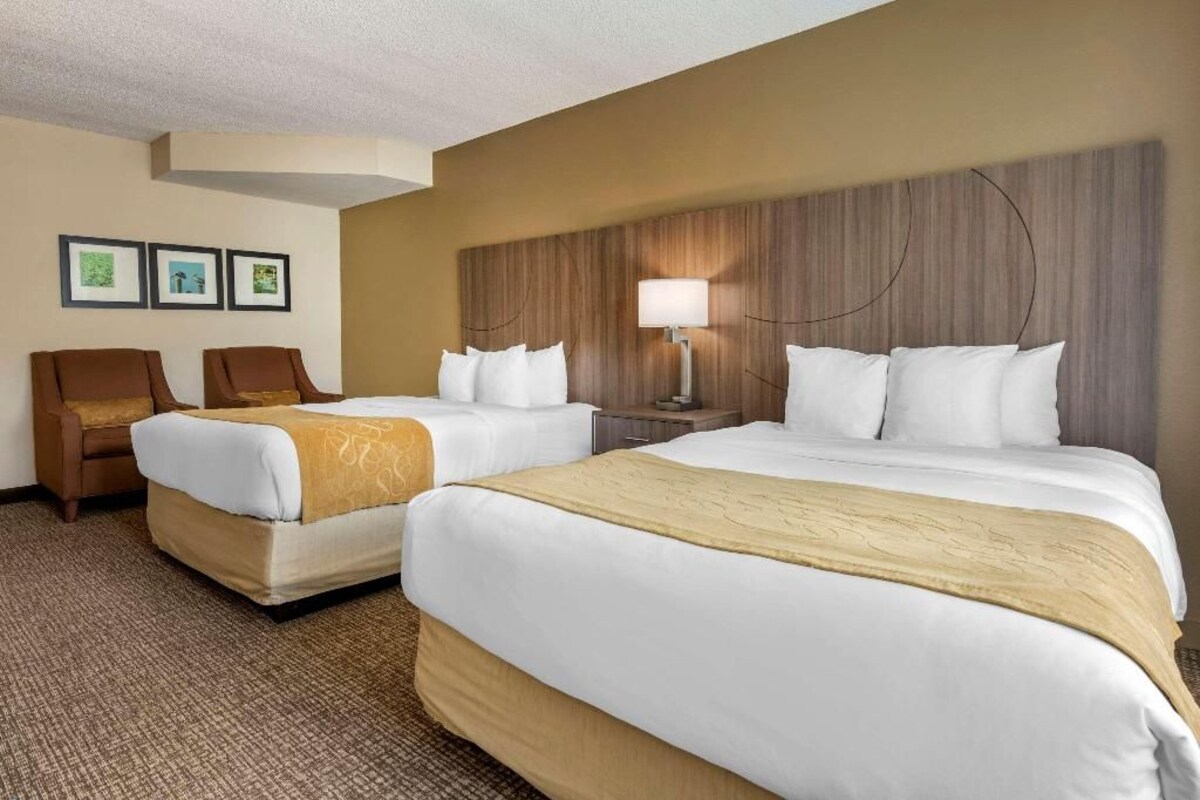 Habitación de hotel con dos camas, una mesita de noche, una lámpara y una silla.