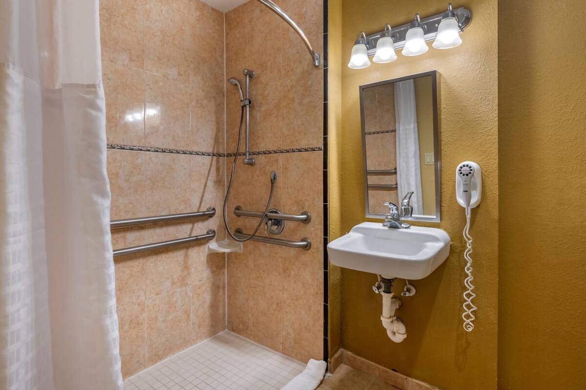 Un baño con ducha, barras de apoyo, lavamanos y secador de pelo.