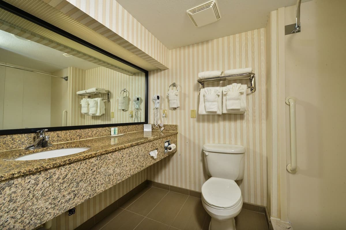 A hotel bathroom with a granite countertop sink, a toilet, a towel rack, and a mirror.