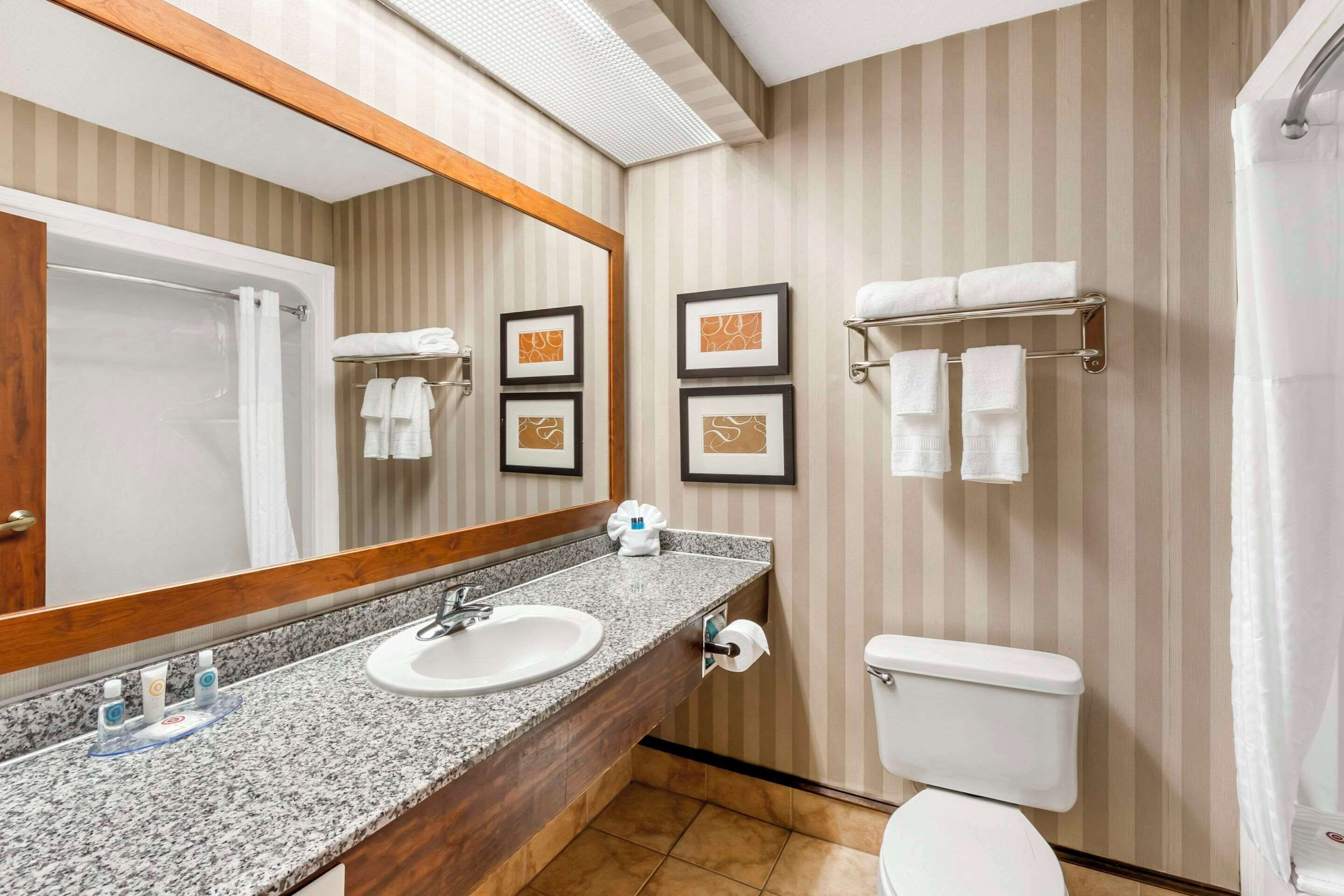 room, 1 king bed, non smoking (1 king bed with sitting area) | desk, laptop workspace, iron/ironing board, free wifi