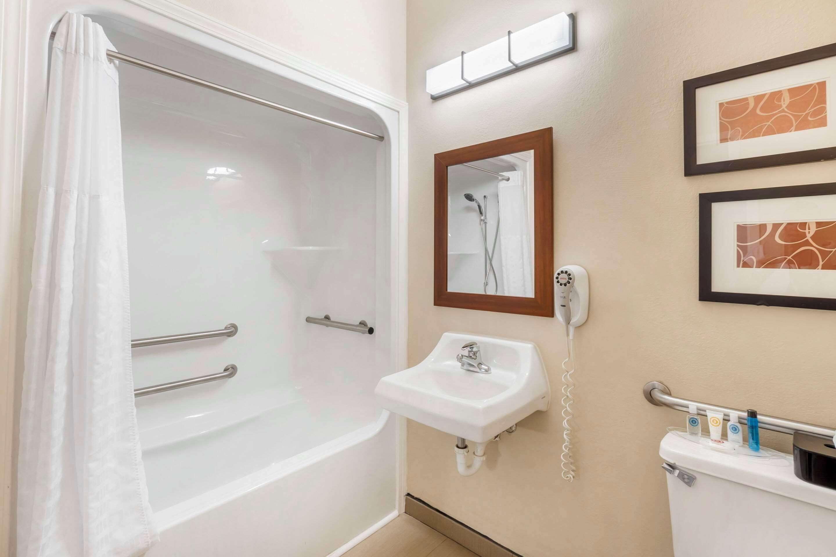 room, 1 queen bed, accessible, non smoking (1queen bed with accessible tub) | desk, laptop workspace, iron/ironing board, free wifi