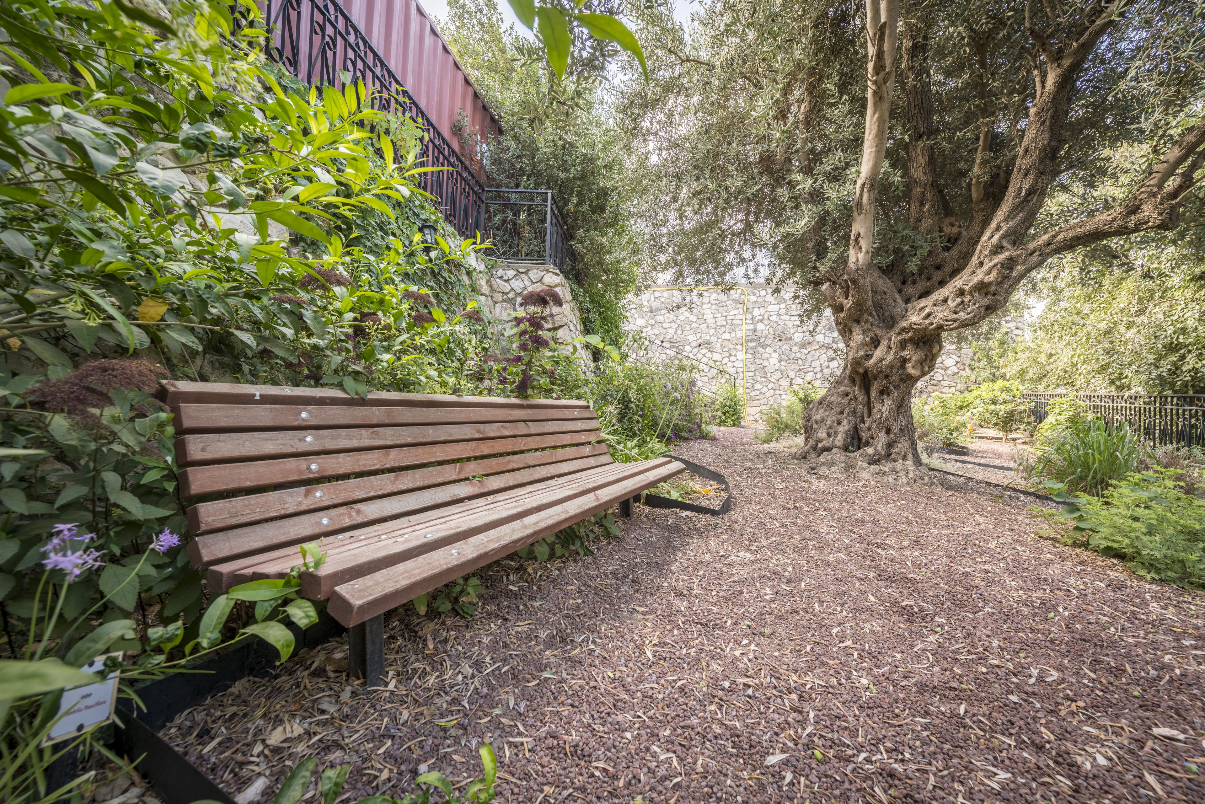 A wooden bench in a garden with a stone wall and a large tree.