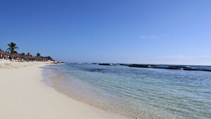 Une plage à l’eau claire, avec un rivage sablonneux et des palmiers.