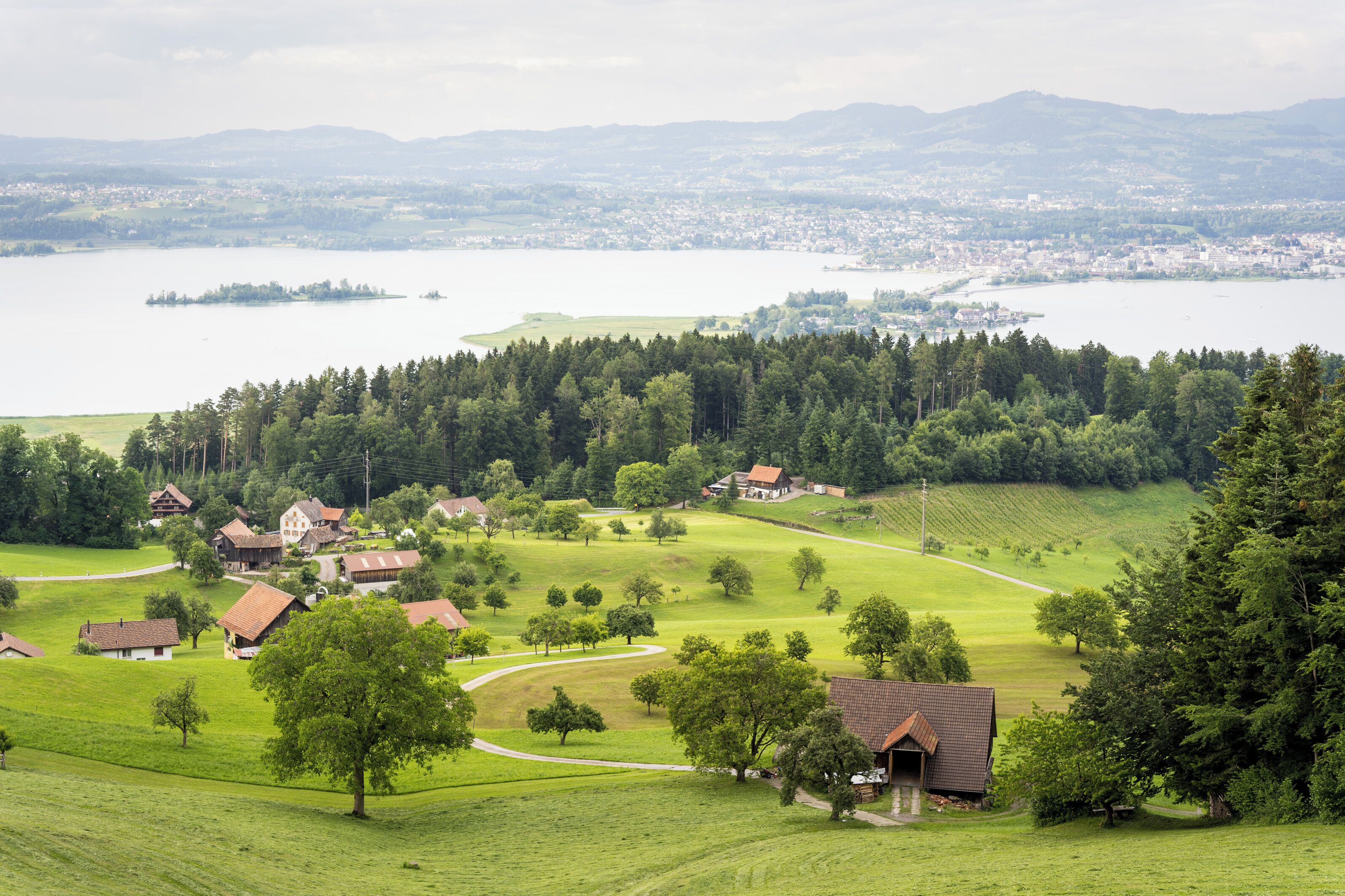 land view from property