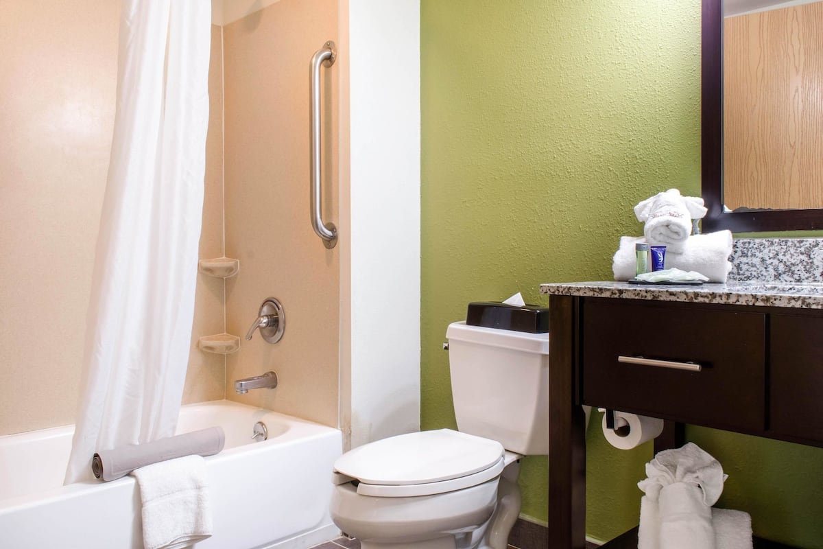 combined shower/bathtub, free toiletries, hair dryer, towels