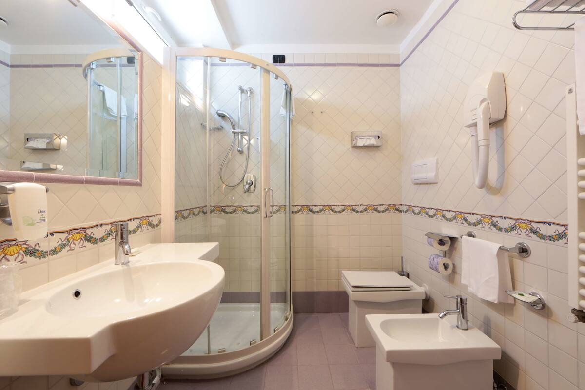 free toiletries, hair dryer, bidet, towels