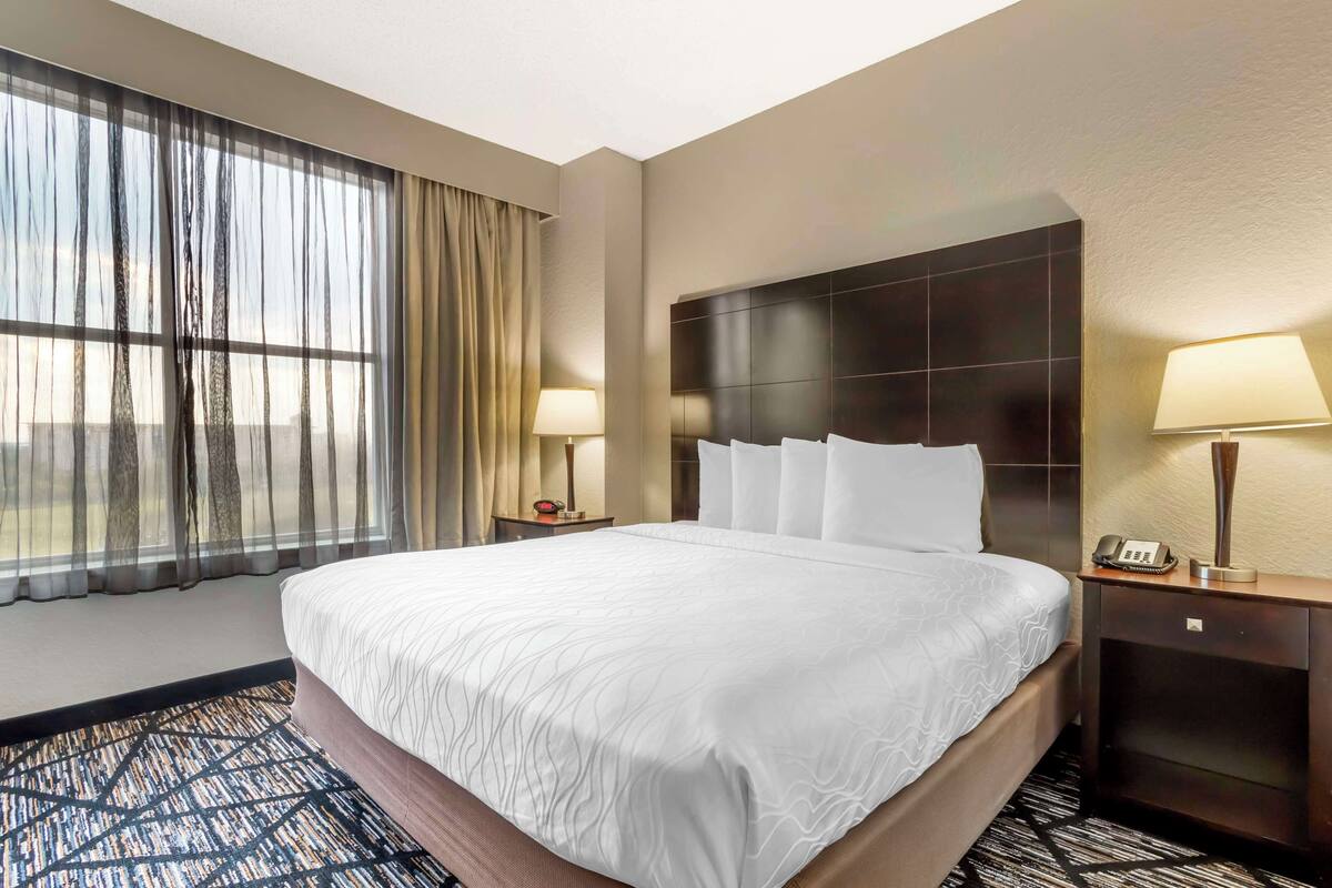 A hotel room with a large bed, two bedside tables with lamps, a window with sheer curtains, and a patterned carpet.