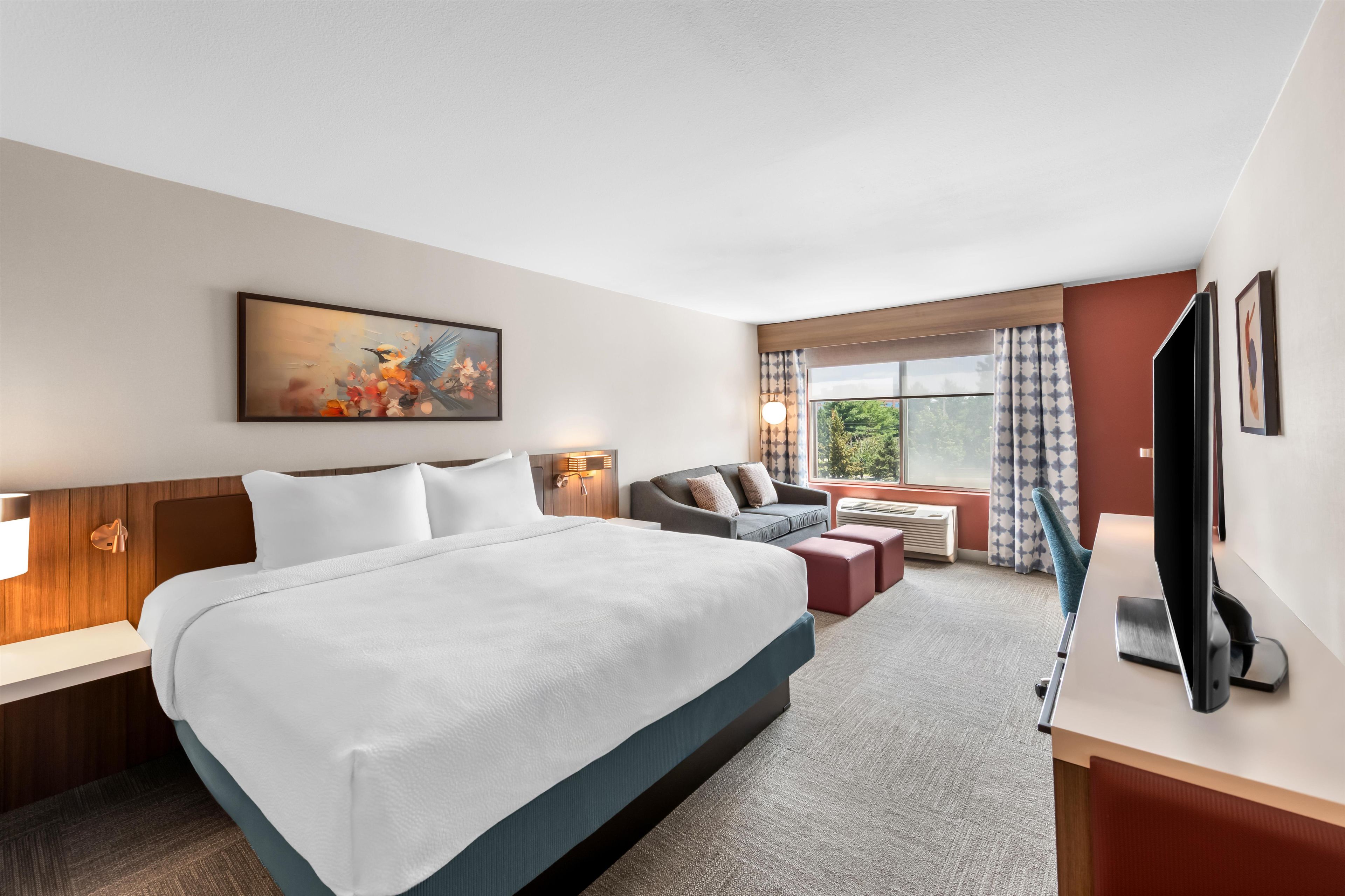 Habitación de hotel con una cama grande, un sofá, un escritorio y un televisor.
