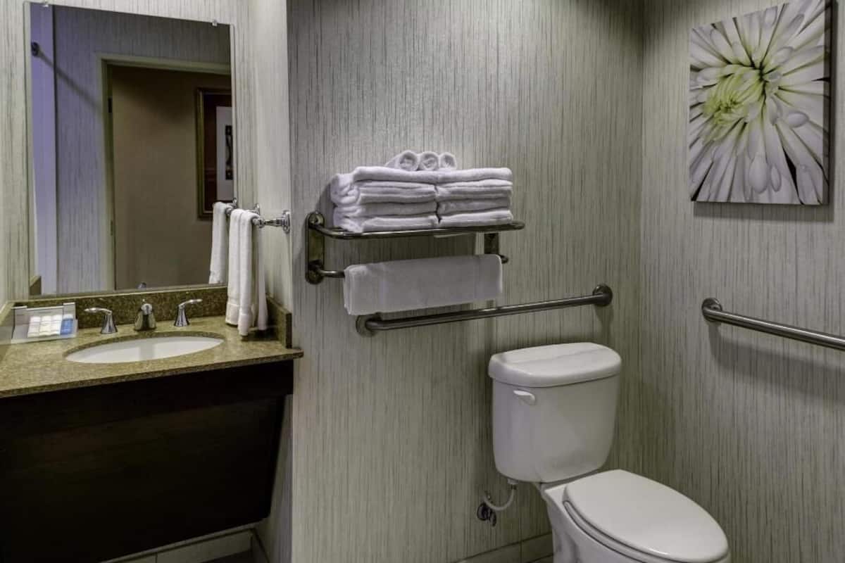 Bathroom | Combined shower/bathtub, free toiletries, hair dryer, towels