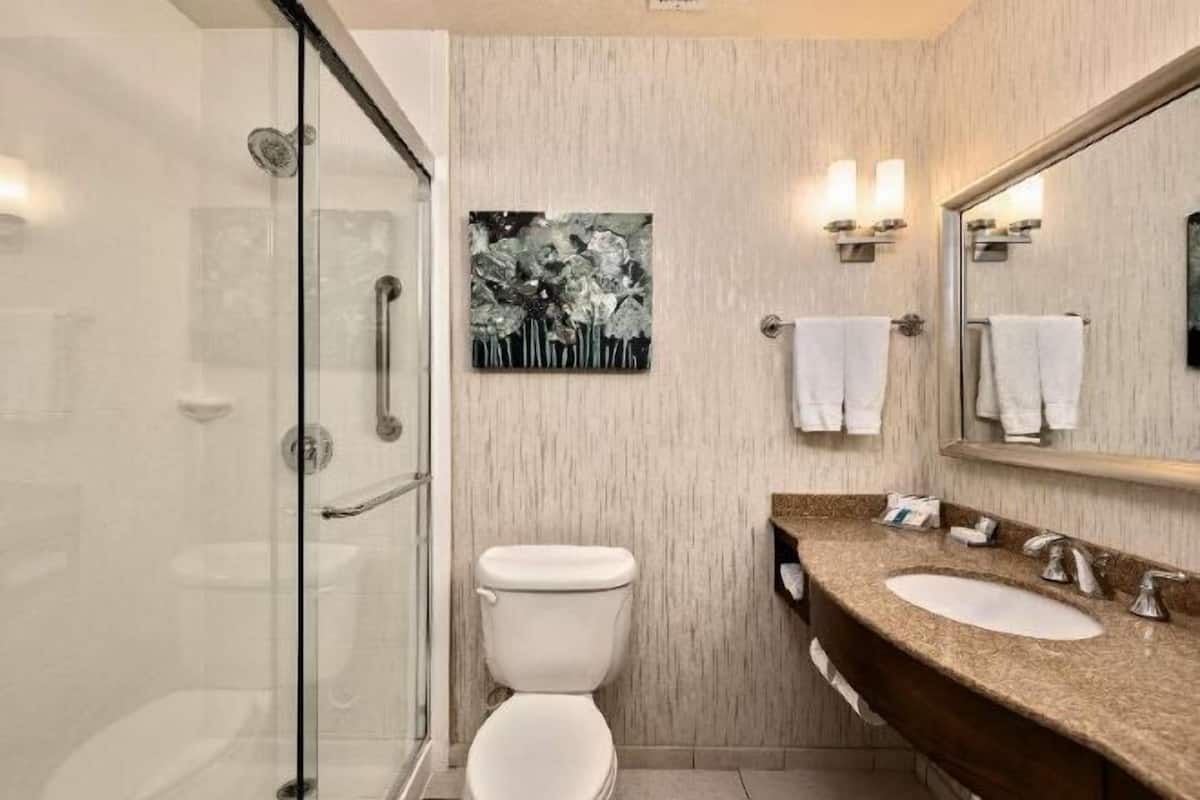 Bathroom | Combined shower/tub, free toiletries, hair dryer, towels