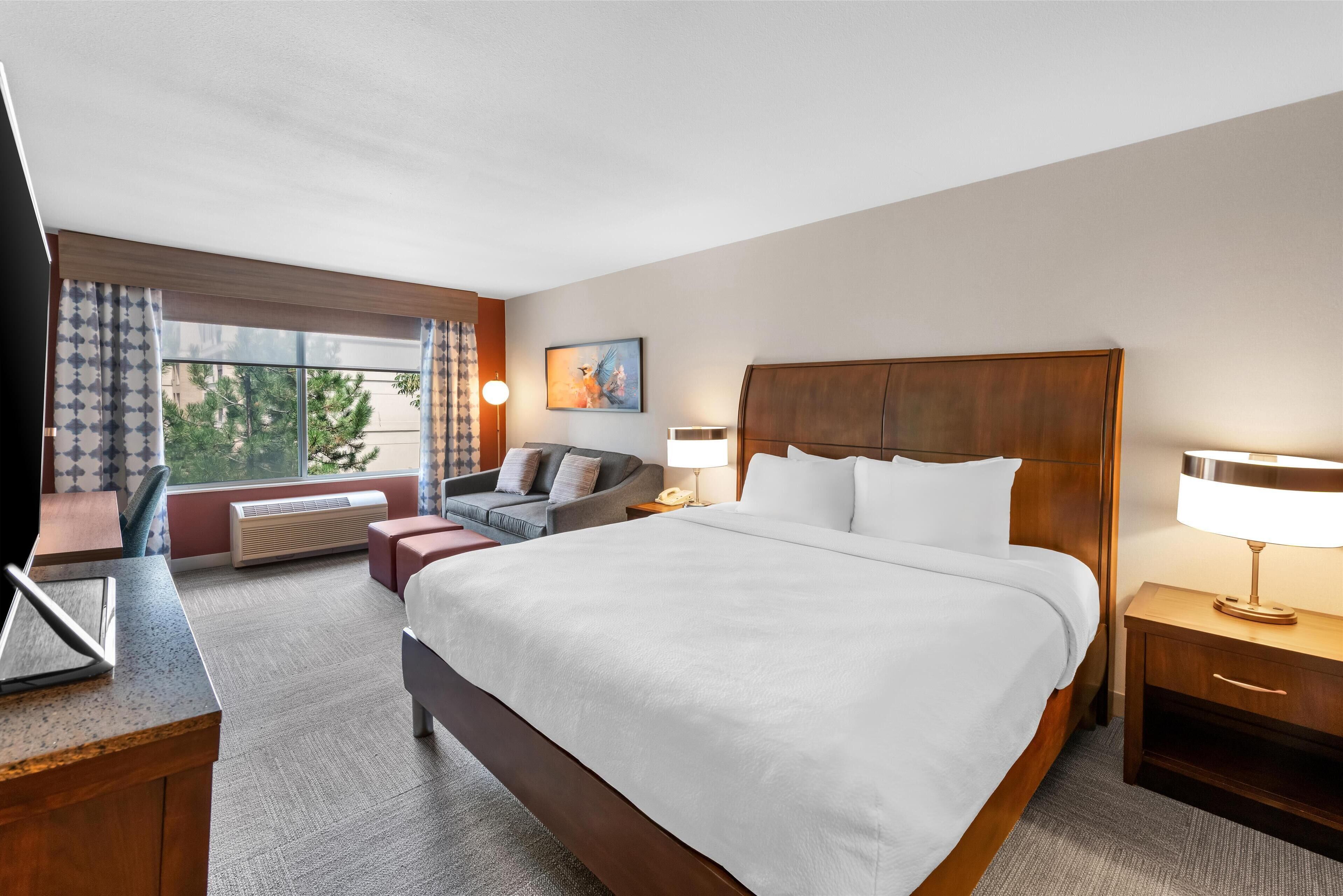 デスク、遮光カーテン、アイロン / アイロン台、可動式ベッド (無料)