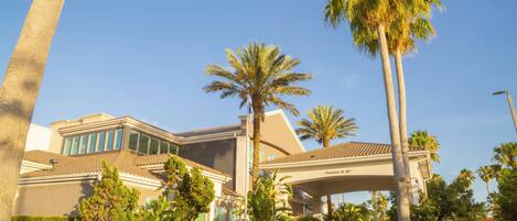 A modern hotel with a covered entrance, palm trees, and a clear blue sky.