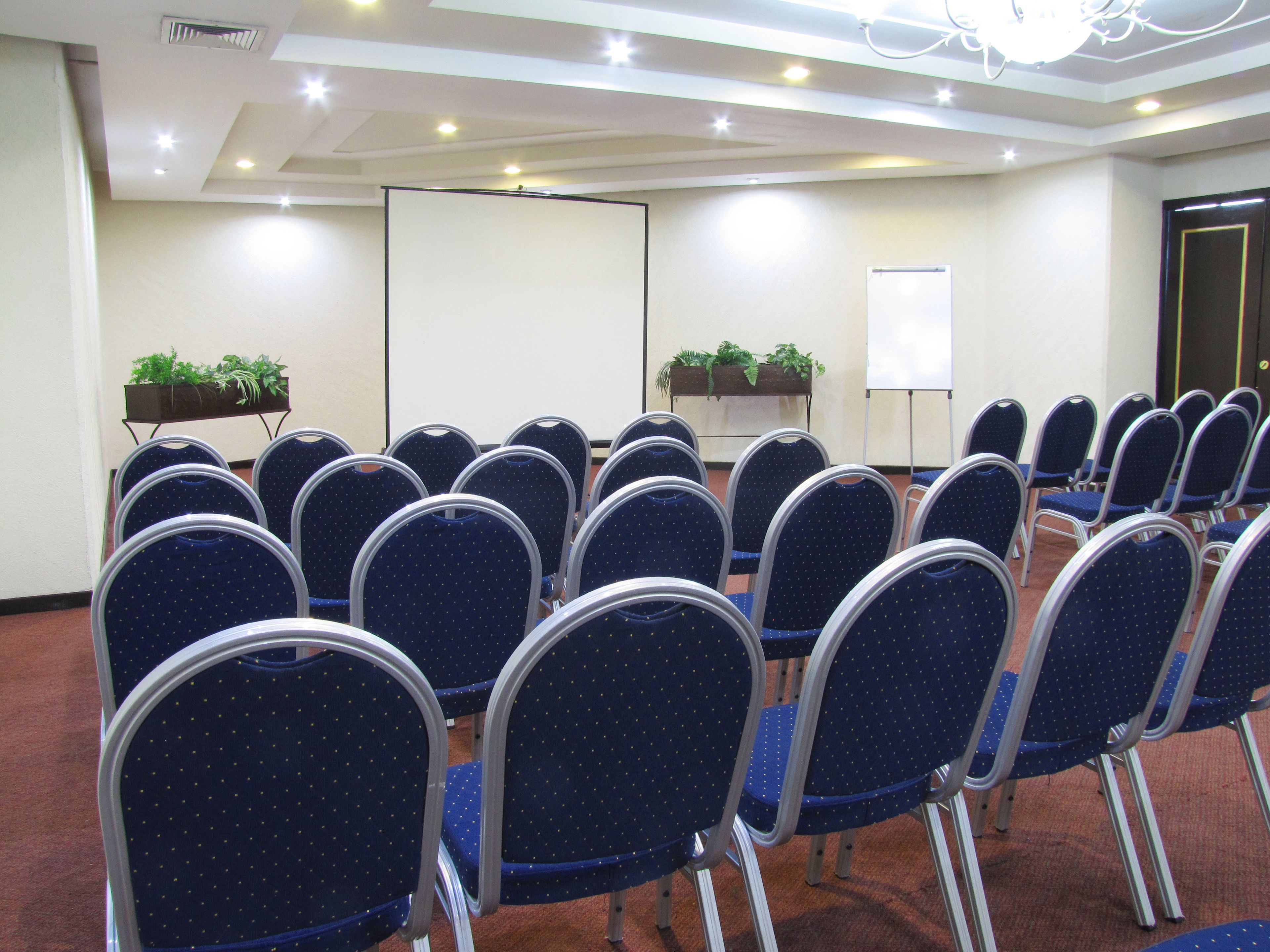 A conference room with rows of blue chairs, a whiteboard, and two potted plants.