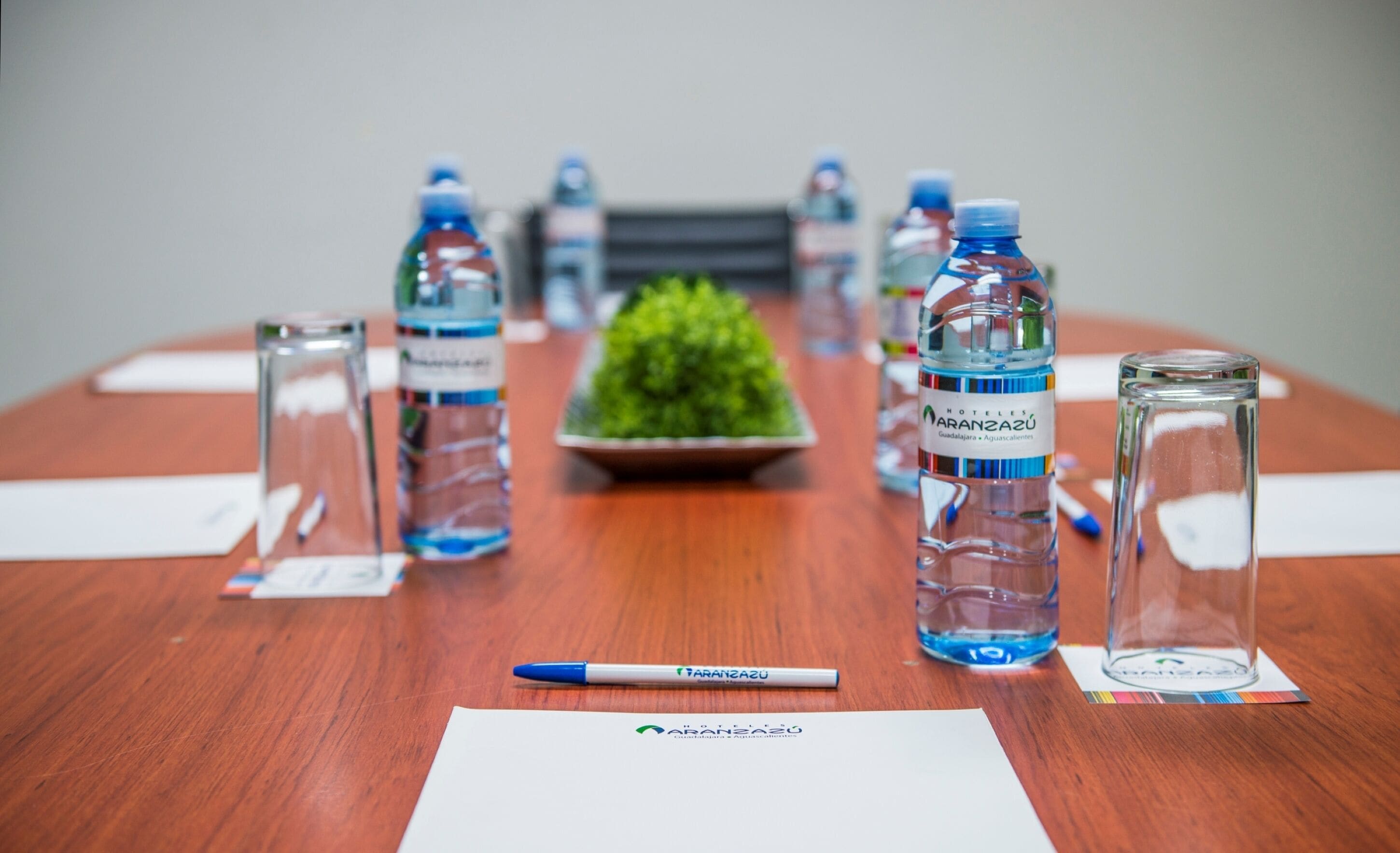 Photo - Aranzazu Plaza Kristal Aguascalientes