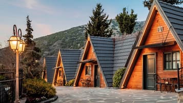 Minibar, caja fuerte, tabla de planchar con plancha y cunas gratuitas