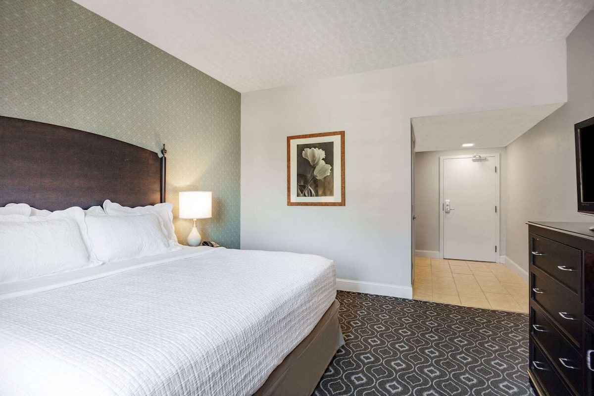 Quarto de hotel com uma cama grande, mesa de cabeceira com luminária, quadro na parede, cômoda e televisão.