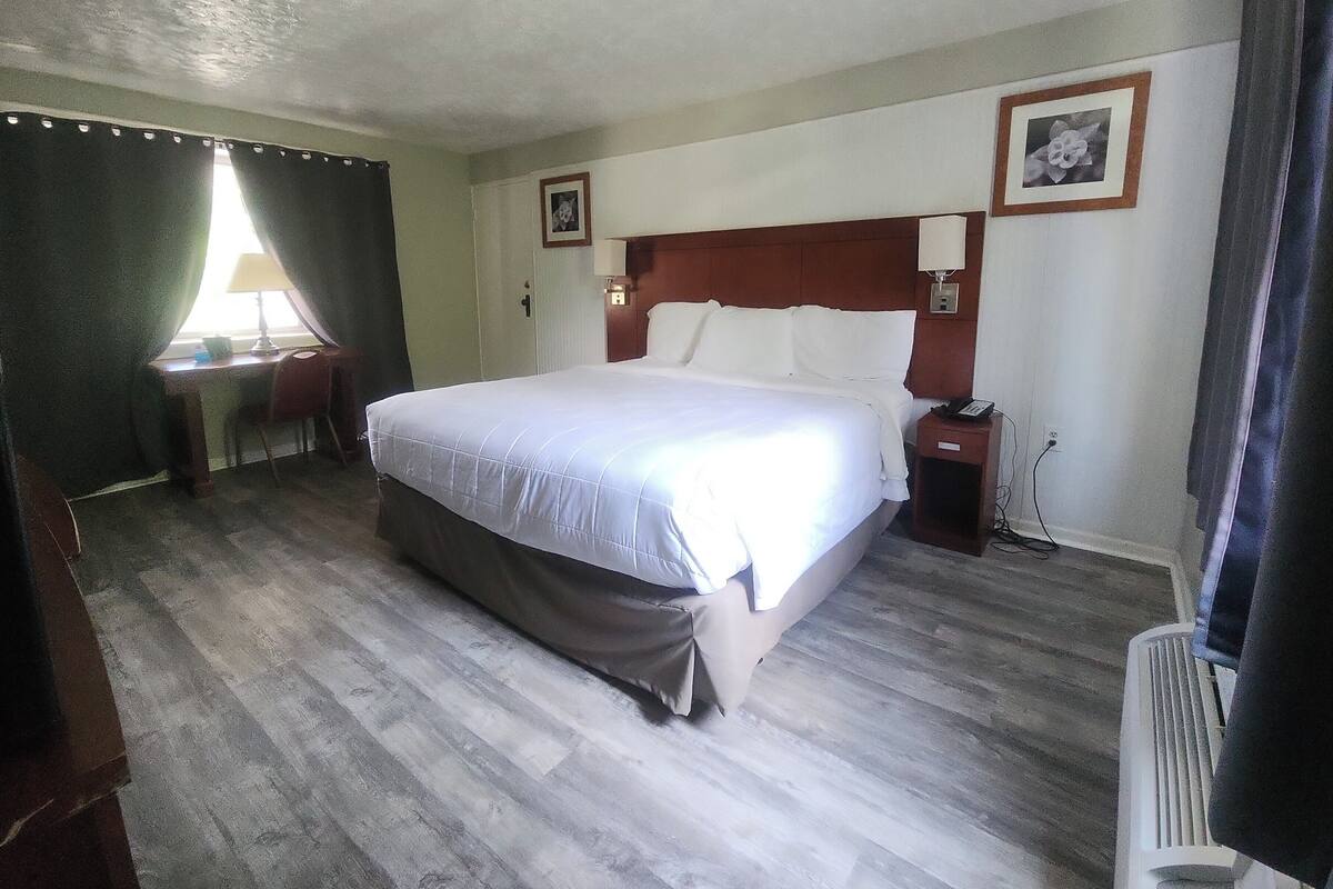 Habitación de hotel con una cama grande, un escritorio con lámpara, una mesita de noche con teléfono y un cuadro en la pared.