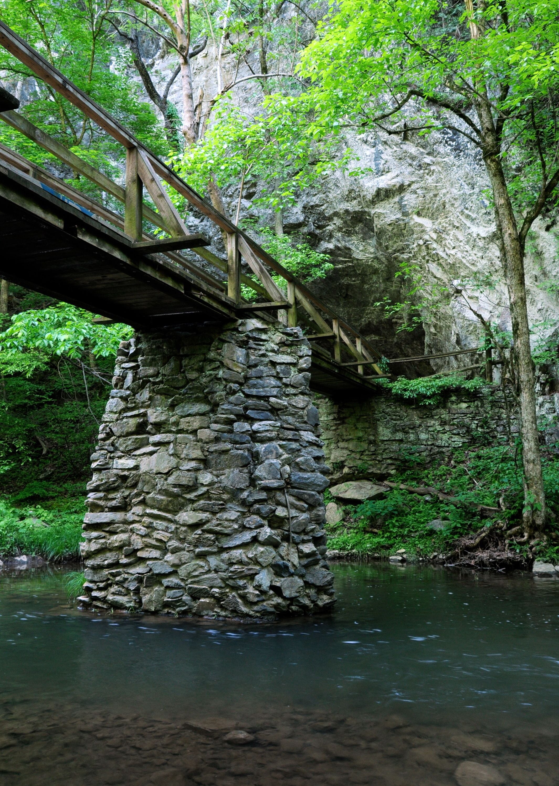 Un puente de piedra sobre un río, con un bosque de fondo.