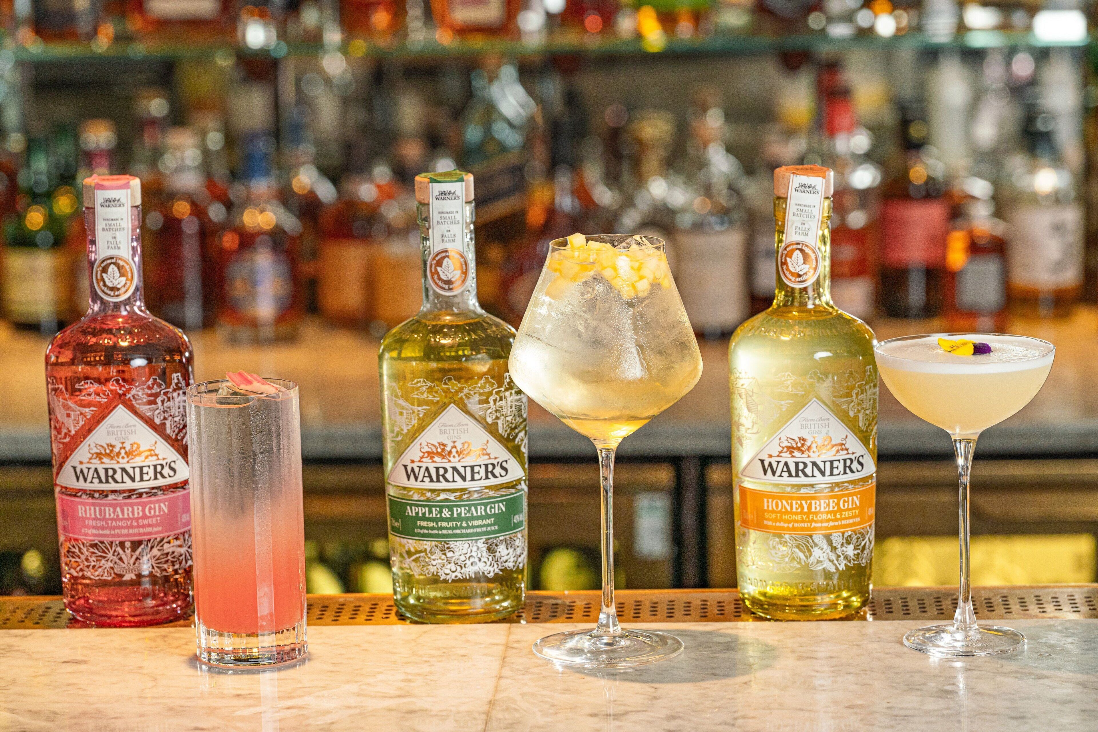 A bar with various bottles of Warner's gin and two cocktails.